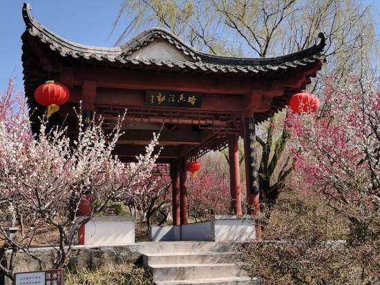 2025年雪山梅园新春盆景展和梅花节活动方案