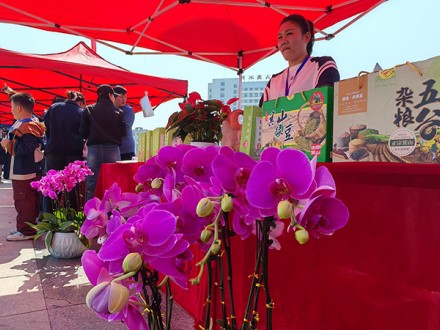 沂水县第三届农产品展销会今日开幕！