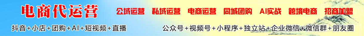 电商代运营 公域私域运营