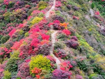 天赐山红叶青州古城一日游自驾拼团